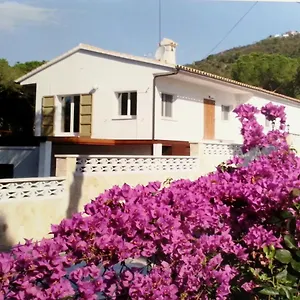 https://villa-felices-juntos.topcostabravahotels.com